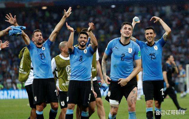 乌拉圭vs法国的简单介绍